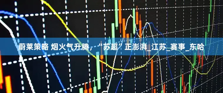 蔚莱策略 烟火气升腾，“苏超”正澎湃_江苏_赛事_东哈