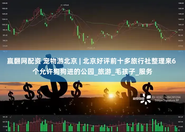 赢翻网配资 宠物游北京 | 北京好评前十多旅行社整理来6 个允许狗狗进的公园_旅游_毛孩子_服务