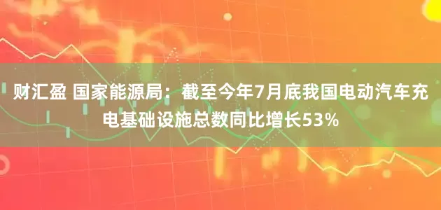 财汇盈 国家能源局：截至今年7月底我国电动汽车充电基础设施总数同比增长53%