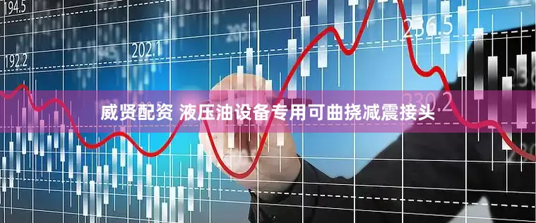 威贤配资 液压油设备专用可曲挠减震接头