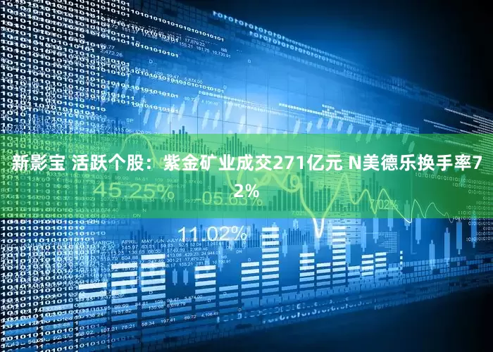 新影宝 活跃个股：紫金矿业成交271亿元 N美德乐换手率72%